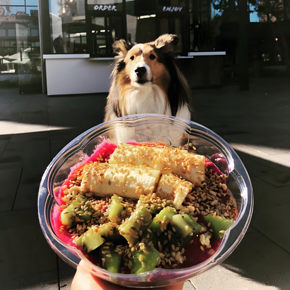 A dog looks at a Protini Bar acai bowl topped with banana, kiwi, and seeds.