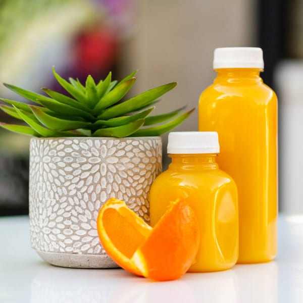 Two bottles of orange juice, an orange slice, and a potted succulent on a white surface.